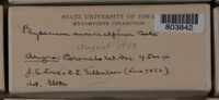 Image Associated With the Occurence